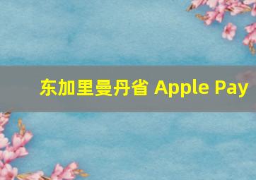 东加里曼丹省 Apple Pay